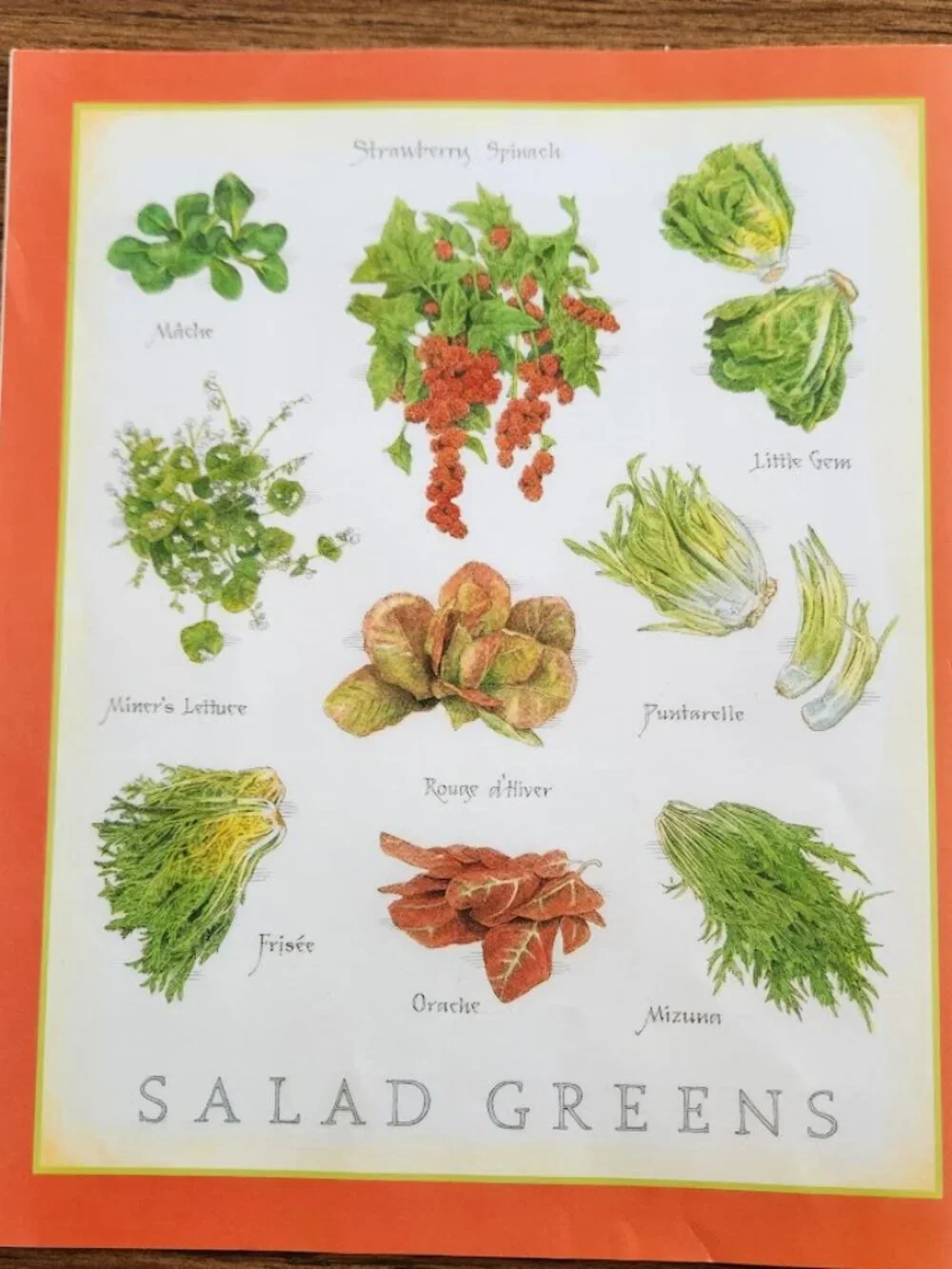 Cook's Illustrated Magazine May & June 2025 Issue #194 Cooking Recipe Book Recip